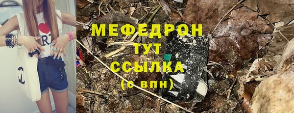 хмурый Белокуриха