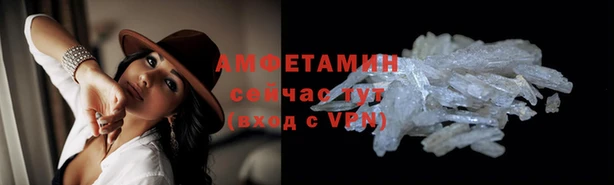 хмурый Белокуриха