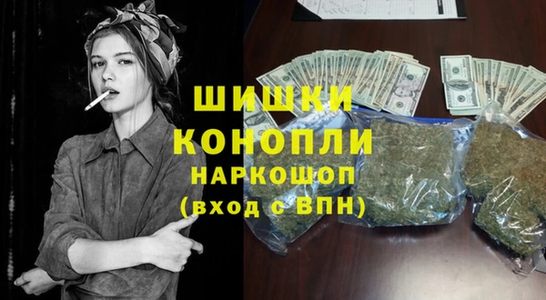 хмурый Белокуриха