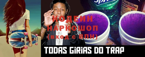 хмурый Белокуриха