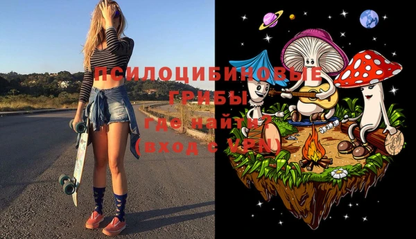 ПСИЛОЦИБИНОВЫЕ ГРИБЫ Беломорск