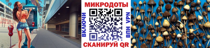 Купить закладки  Меленки  Галлюциногенные грибы GOLDEN TEACHER 